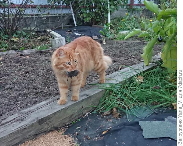 А мой почему то домой не носит...