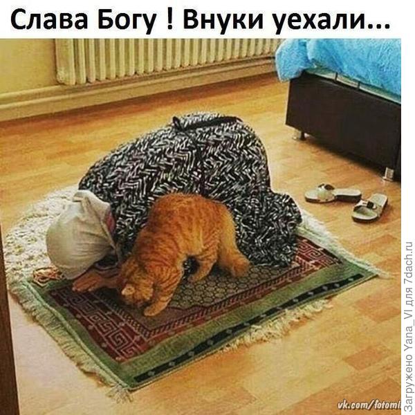 Вот только что попалась картинка в Интернете :) Кот точь в точь мой Рыжий :)