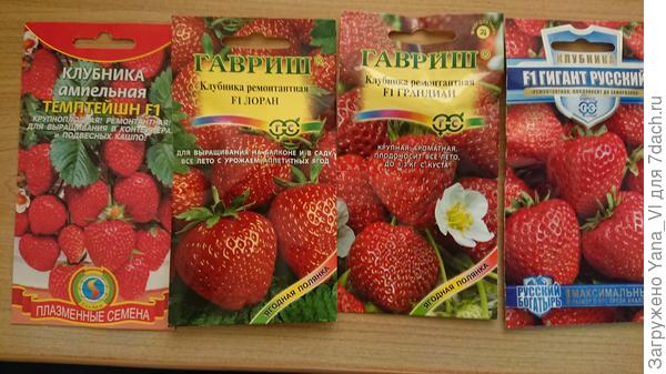 Моё боХатство :)