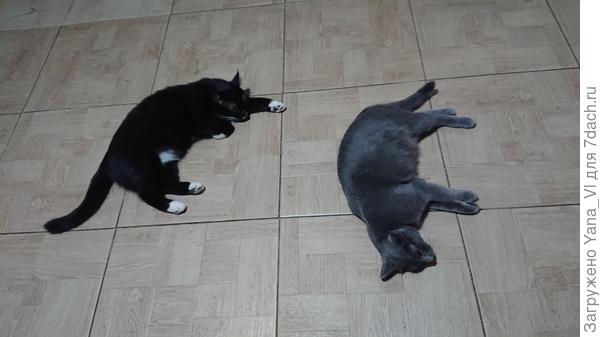 А сами загорают на тёплых полах...