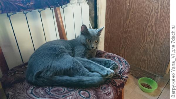 А Тэм ждёт отдельного персонального приглашения... :)