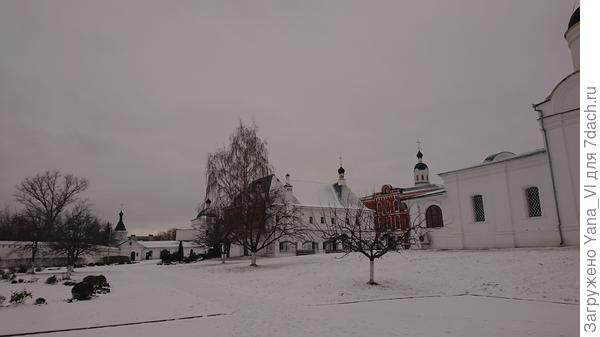 красивые плакучие берёзы