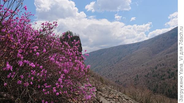 А иногда - цветами...