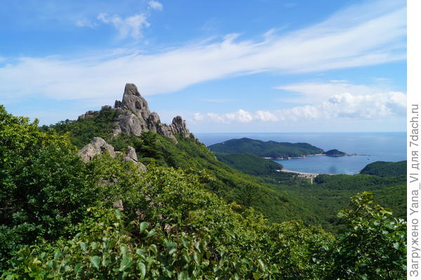 Море... скалы и... море зелени...