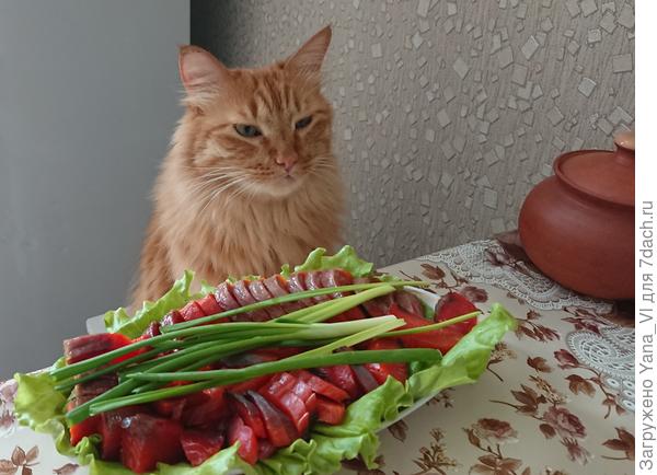 Пришлось побаловать - утешить :)