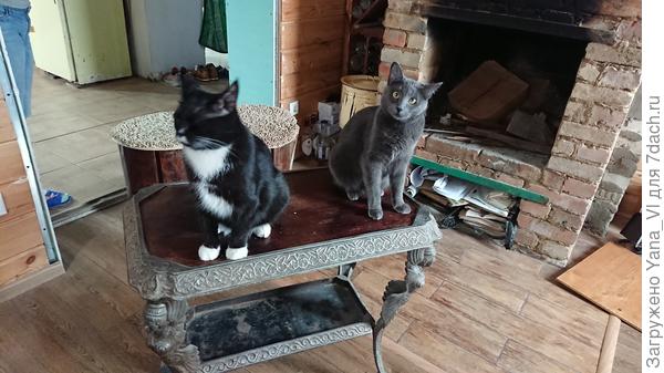 А тут успела.