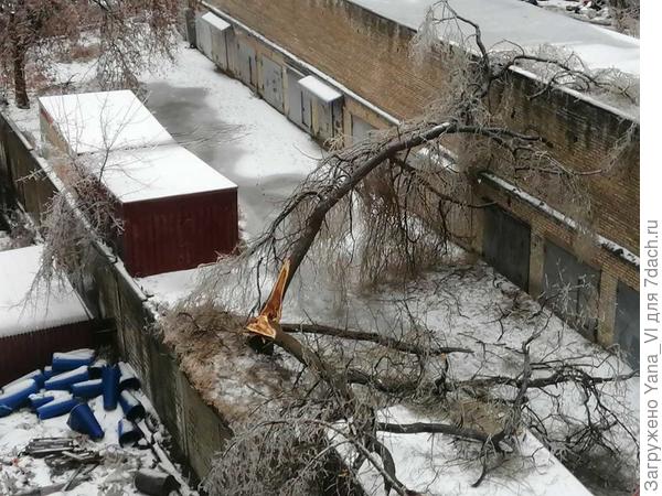 Даже такие великаны не выдержали...