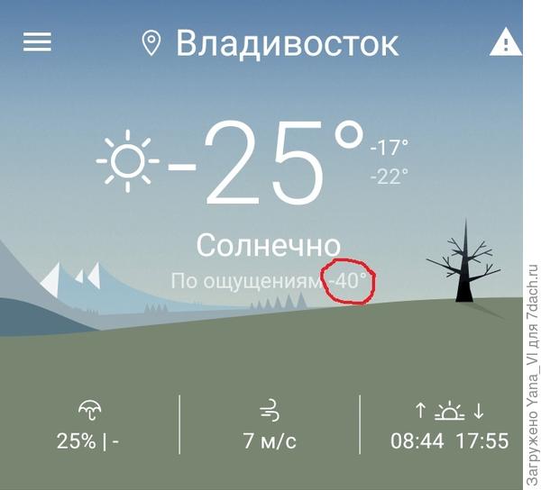 Сюрпризы
