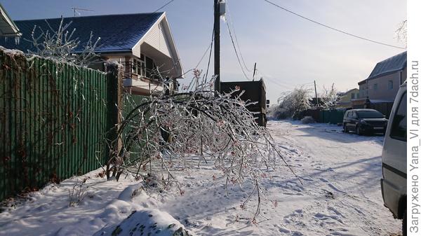 Вот так и лежит бедняжка