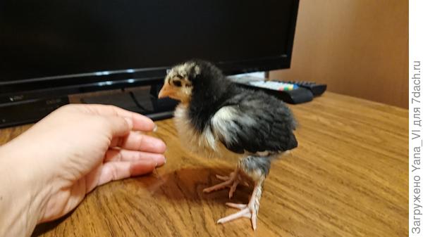 И так могу до бесконечности