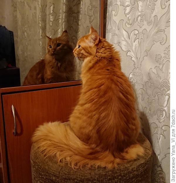 Любуюсь только собой!