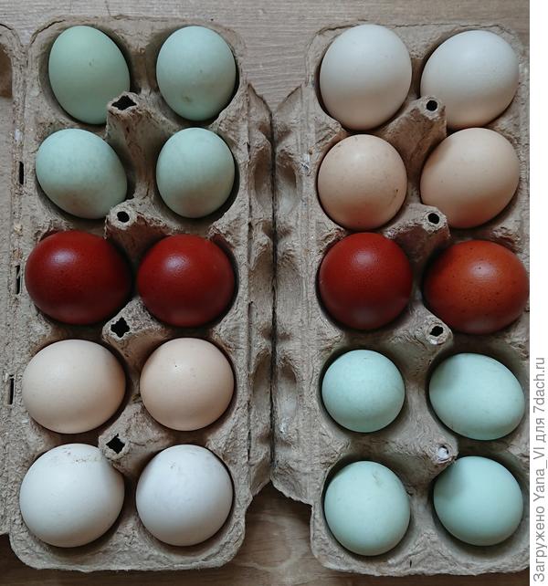 То ли дело мои, правда? ;)