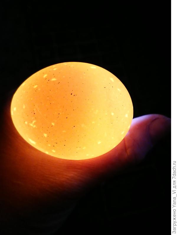 Вот так сияет пустышка...