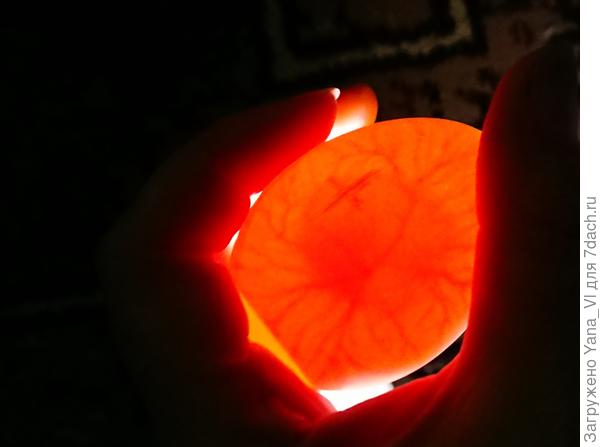 Вот ещё один "паучок"