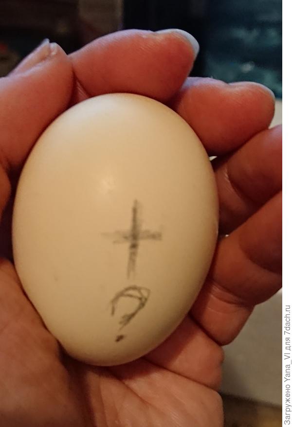 Пометила вопросиком