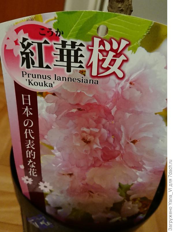 Этикетка поближе.