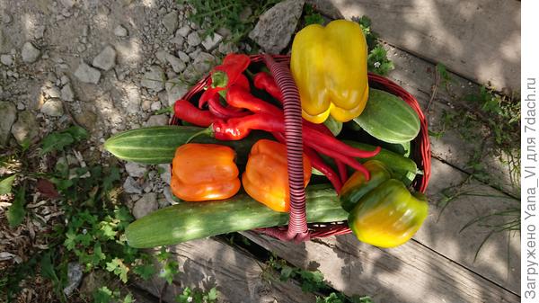 На вкус и цвет :)...