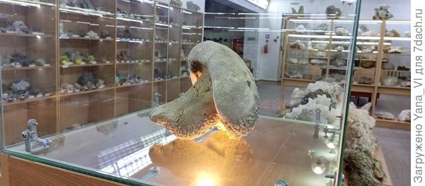 Самородный каменный гриб :) Вот же природа волшебница!