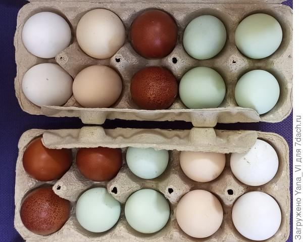 Ну как не порадоваться таким результатам? Разве в магазине купишь такую красоту?