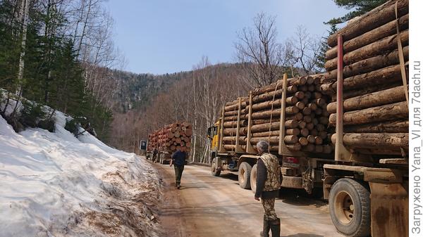 Часто приходилось разъезжаться с лесовозами