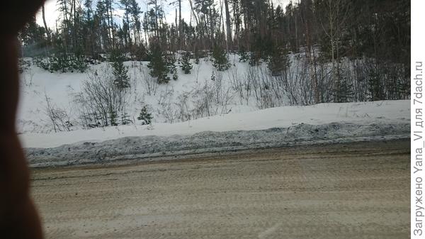 Здесь совсем ещё зима.