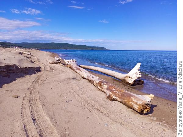 Сентябрьское фото (первые дни буквально)