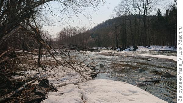 Река Амгу. Вскрылась, но берега ещё заснеженные.