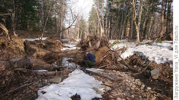 Русло ручейка, из которого брали воду для питья.