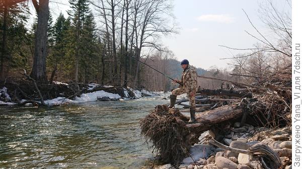 А отец с берега, с удобной коряги.