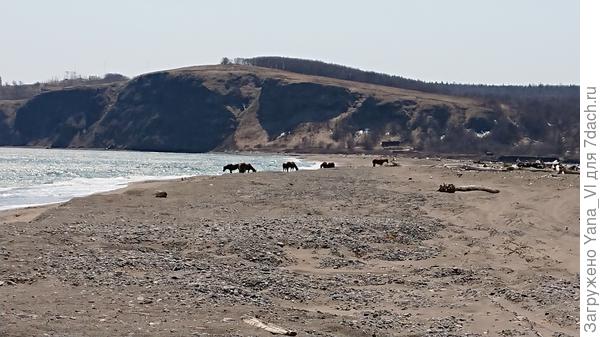 Снимала издалека с очень сильным увеличением, поэтому качество такое паршивое.