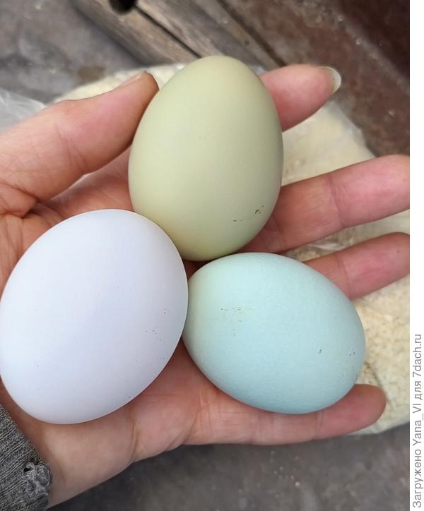 Здесь получше видно отличие голубого и зелёного