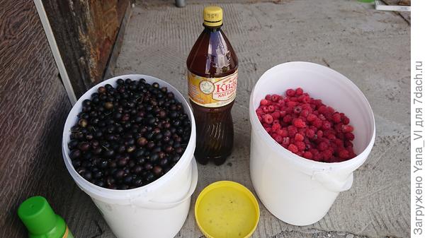 А здесь она с малиной