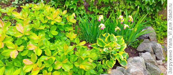 Камера телефона всё время подсвечивает вспышкой :( ей кажется, что слишком темно для съёмки. В итоге все снимки засвеченные какие то... :(