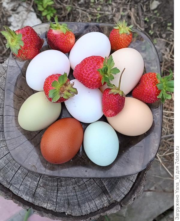 Будут как у меня :)