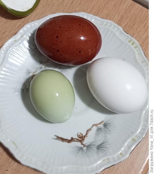 А яйцо у них шоколадное у всех (как на этом фото верхнее)