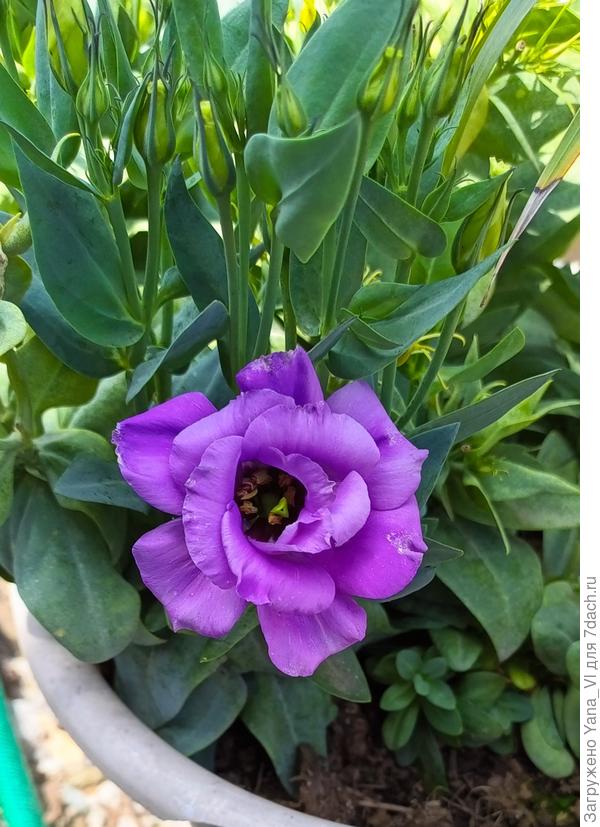 Интересными новинками!