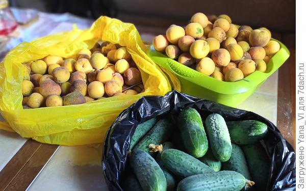 Отличными урожаями!