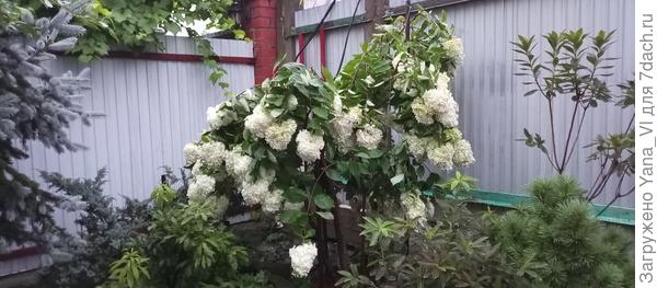 А последний потоп её окончательно разломал...