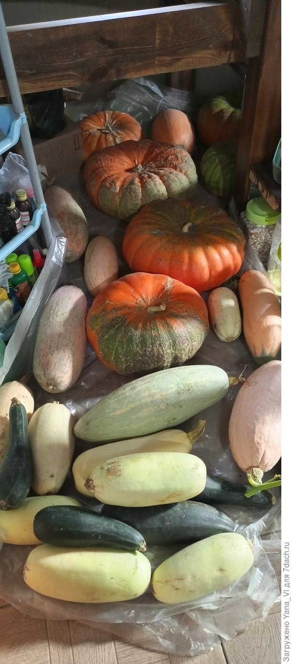 А это уже запихано под лестницу на хранение. Не входит ... Не знаю куда ещё раскладывать...