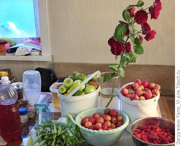 Урожай последнего тёплого денька