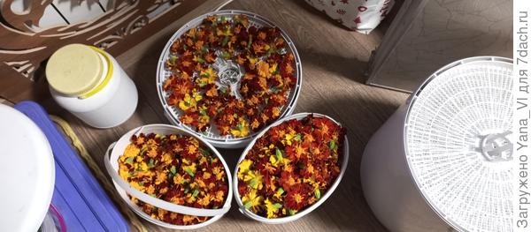 Подготовка к сушке