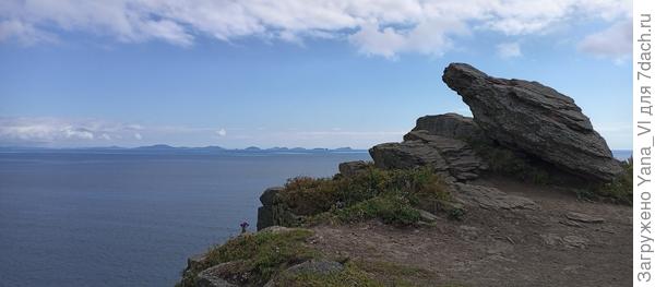 Собственно, сама черепаха