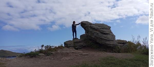 Вот такая черепашка