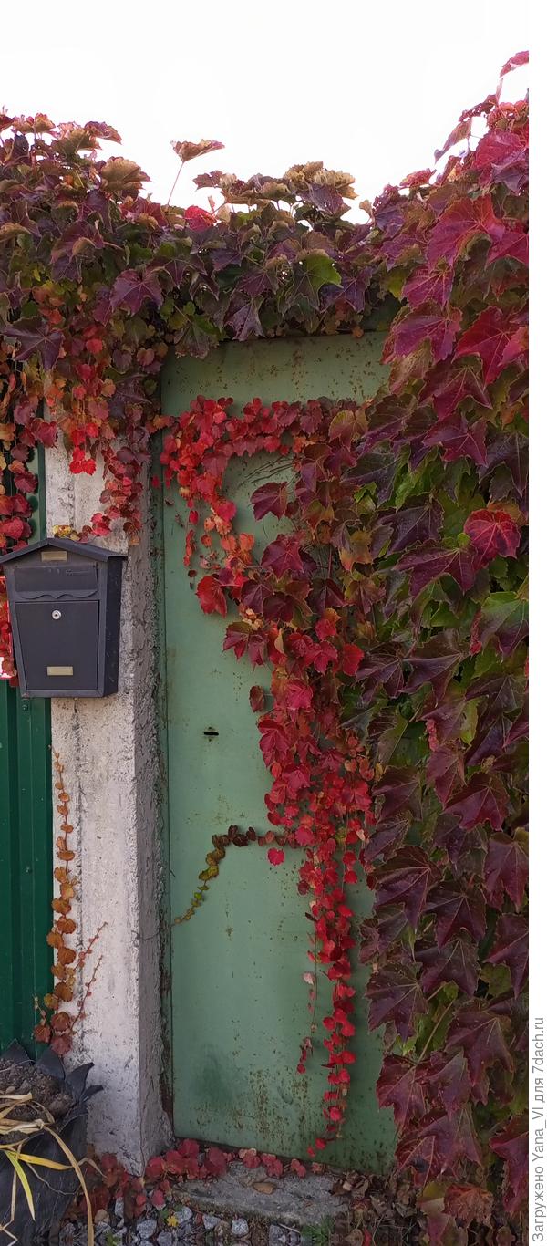 Сюда хочется возвращаться...