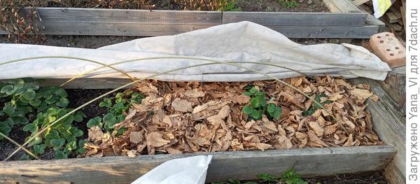 Вот как то так.