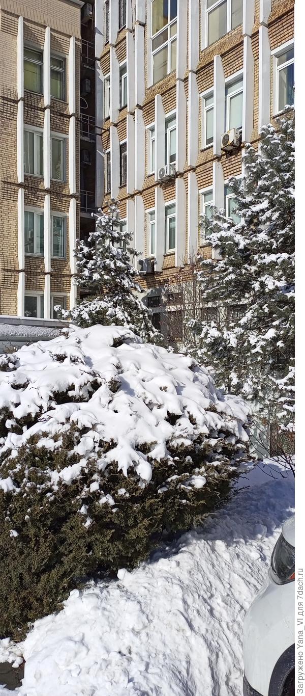 Вот, только сегодня на обед ходила, сняла.