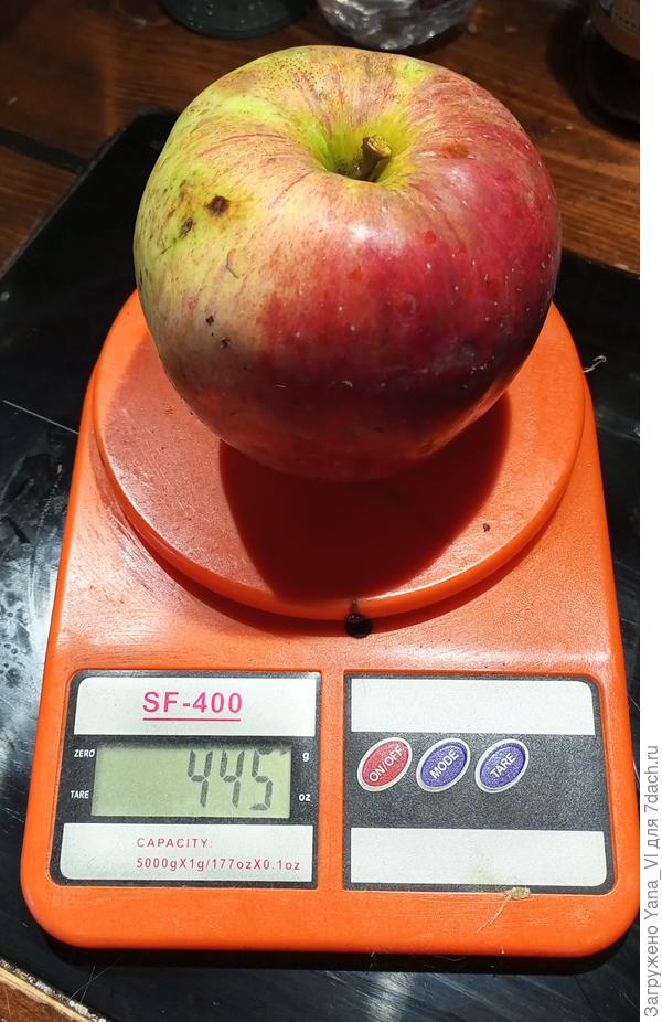 Фотодоказательство :)