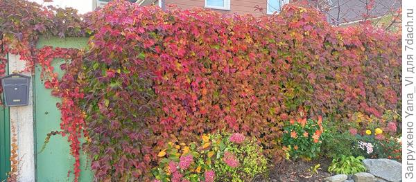 Вот так как то