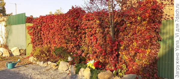 С другого ракурса