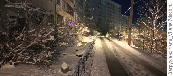 В 6 утра возле дома